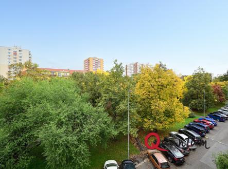 DSC_5586_00001_7_00001_8_00001_Fusion-Natural