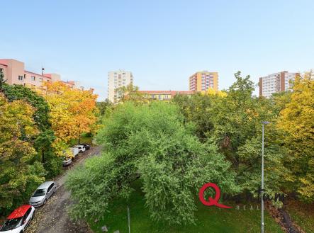 DSC_5589_00001And2more_Fusion-Natural