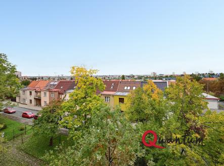 DSC_5622_00001_3_00001_4_00001_Fusion-Natural