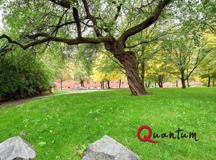 DSC_5671_00001_2_00001_3_00001_Fusion-Natural