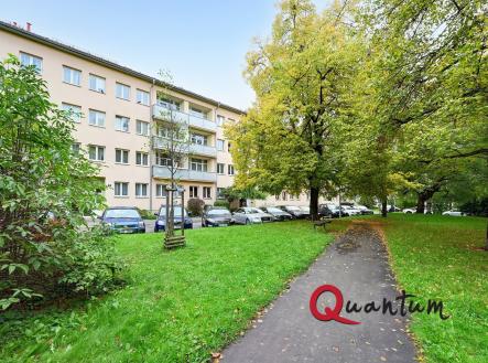 DSC_5680_00001_1_00001_2_00001_Fusion-Natural