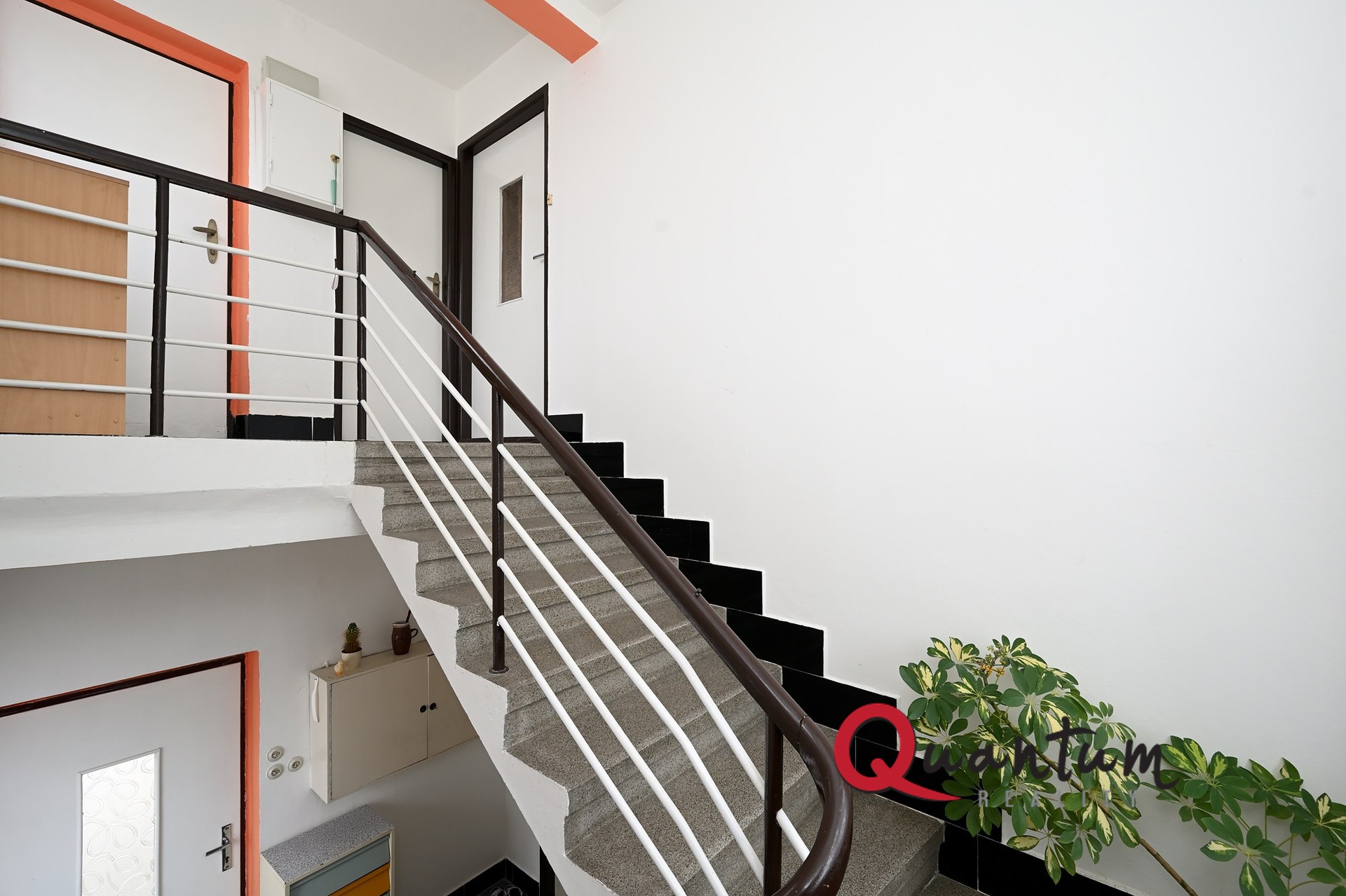 Fotku se nepodařilo načíst.