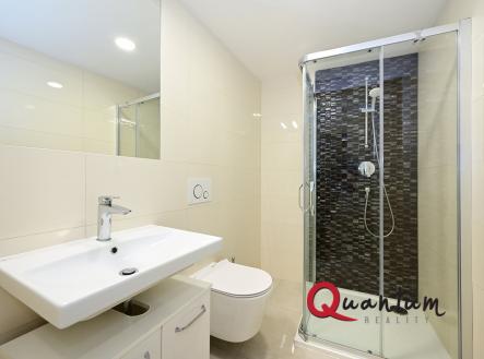 Pronájem bytu, 1+kk, 30 m²