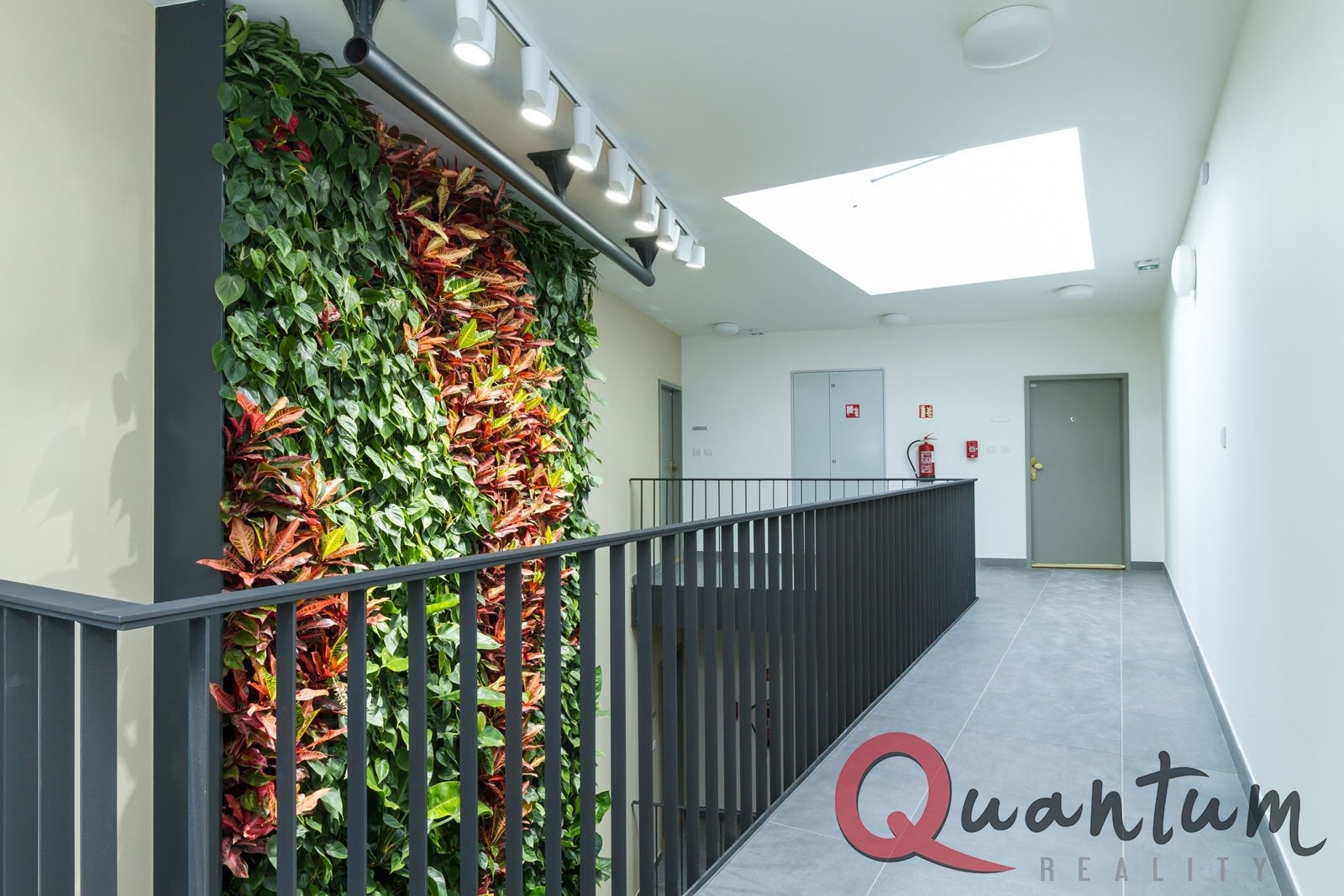 Fotku se nepodařilo načíst.