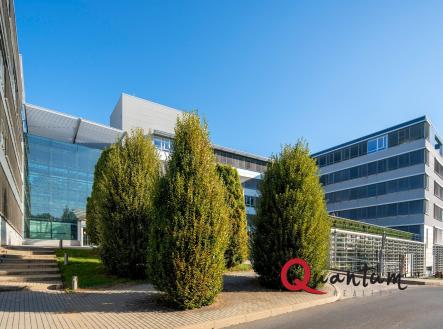 Pronájem kanceláře, 503 m²