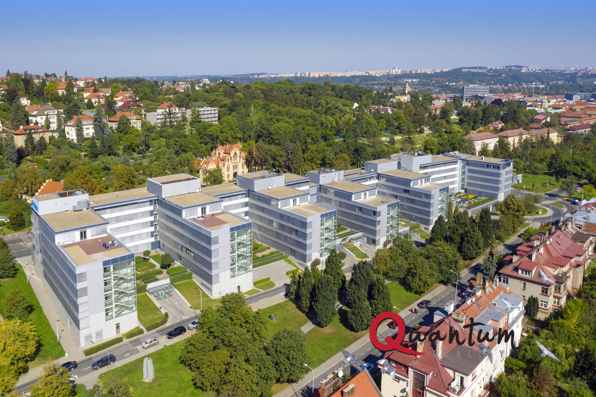 WOOD#HADOVKA#PRAHA#DRON#03