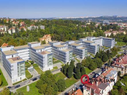 Pronájem kanceláře, 503 m²