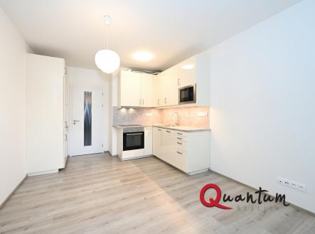 Pronájem bytu, 1+kk, 27 m²