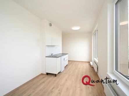 Pronájem bytu, 1+kk, 23 m²