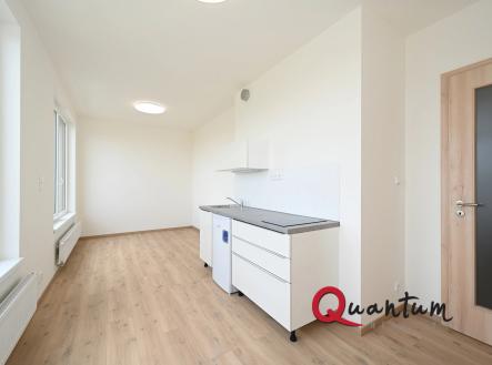 Pronájem bytu, 1+kk, 23 m²