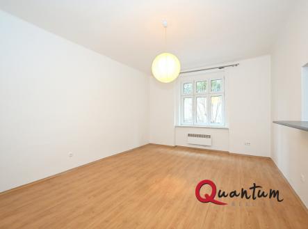 Pronájem bytu, 1+kk, 30 m²