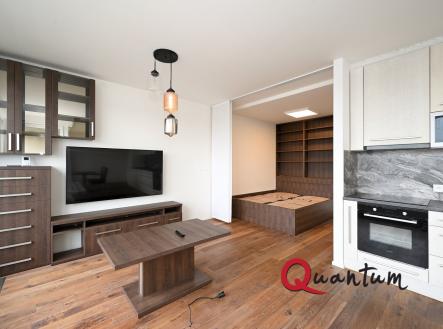 Pronájem bytu, 1+kk, 59 m²