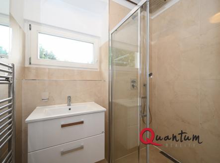 Pronájem bytu, 1+1, 46 m²