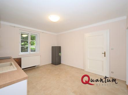 Pronájem bytu, 1+1, 46 m²