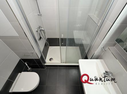 Pronájem bytu, 2+kk, 88 m²