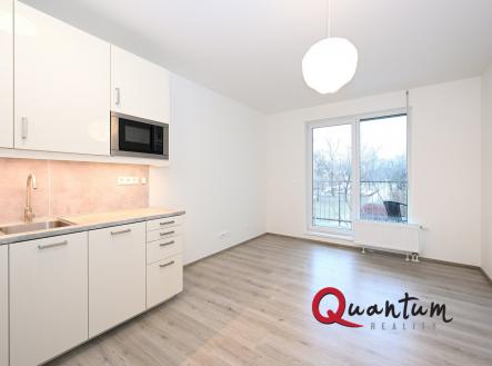 Pronájem bytu, 1+kk, 27 m²