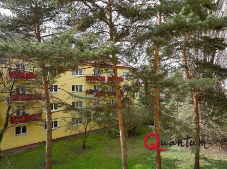 DSC_6989_00001And2more_Fusion-Natural