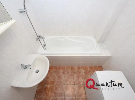 Pronájem bytu, 1+kk, 52 m²