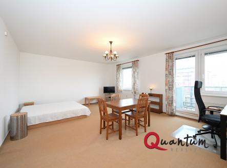 Pronájem bytu, 1+kk, 52 m²