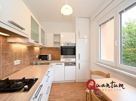 Pronájem bytu, 2+1, 58 m²