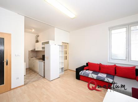 Pronájem bytu, 1+kk, 35 m²