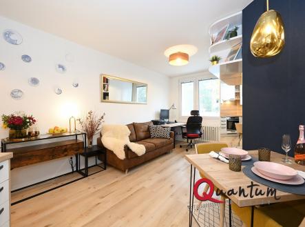 Pronájem bytu, 2+kk, 49 m²