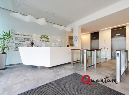 Pronájem kanceláře, 503 m²