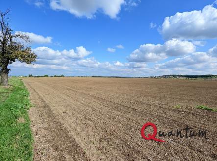 Prodej pozemku, zemědělská půda, 16 029 m²