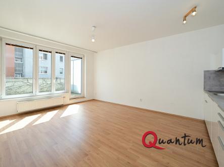 Pronájem bytu, 1+kk, 46 m²