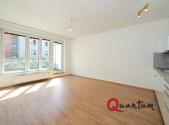 Pronájem bytu, 1+kk, 46 m²