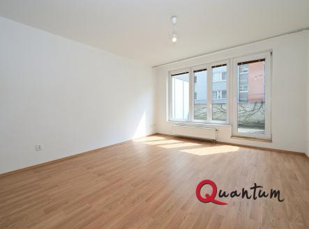 Pronájem bytu, 1+kk, 46 m²
