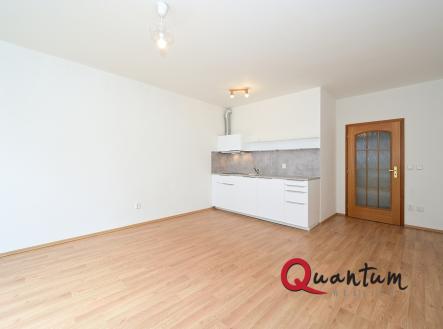 Pronájem bytu, 1+kk, 46 m²