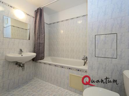 Pronájem bytu, 1+kk, 46 m²