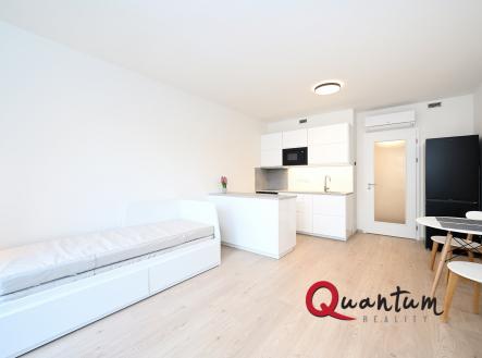 Pronájem bytu, 1+kk, 33 m²
