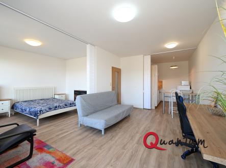 Pronájem bytu, 1+kk, 49 m²