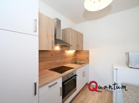 Pronájem bytu, 1+kk, 49 m²