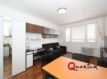 Pronájem bytu, 1+kk, 25 m²