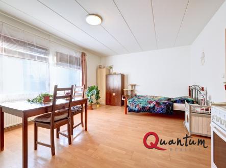 Pronájem bytu, 1+kk, 33 m²