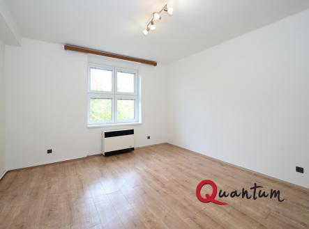 Pronájem bytu, 1+1, 47 m²