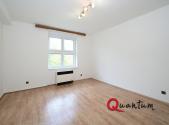 Pronájem bytu, 1+1, 47 m²
