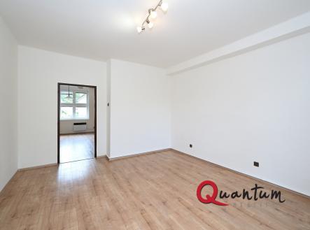 Pronájem bytu, 1+1, 47 m²