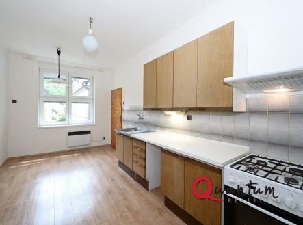 Pronájem bytu, 1+1, 47 m²