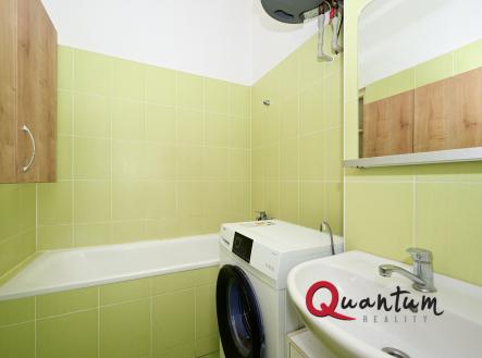 Pronájem bytu, 1+1, 46 m²