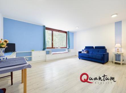 Prodej bytu, 1+kk, 40 m²