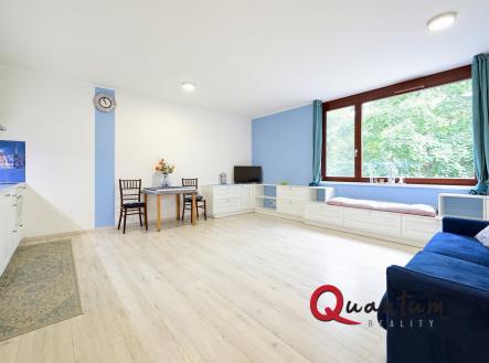 Prodej bytu, 1+kk, 40 m²