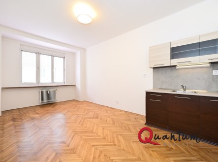 Nabídka pronájmu bytu 1+kk, 29 m2, Baranova, Praha - Žižkov