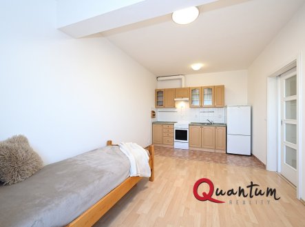 Pronájem bytu 2+kk s terasou, garážovým stáním a výhledem na Prahu – Praha 7/Troja, K Sadu