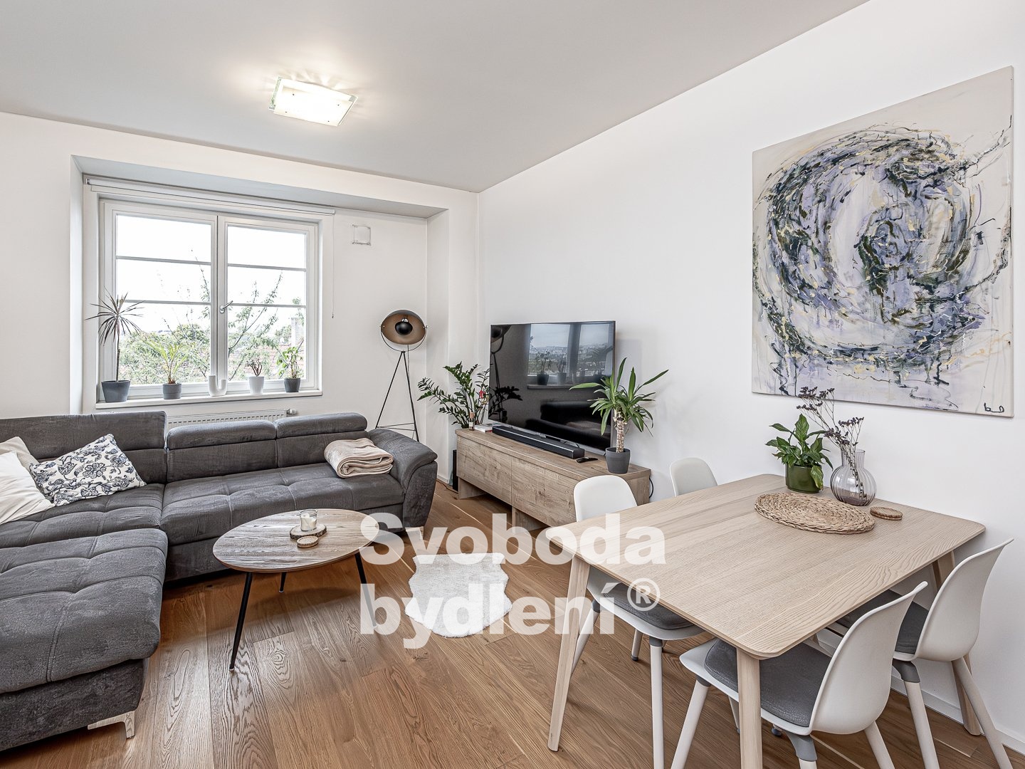 Fotku se nepodařilo načíst.