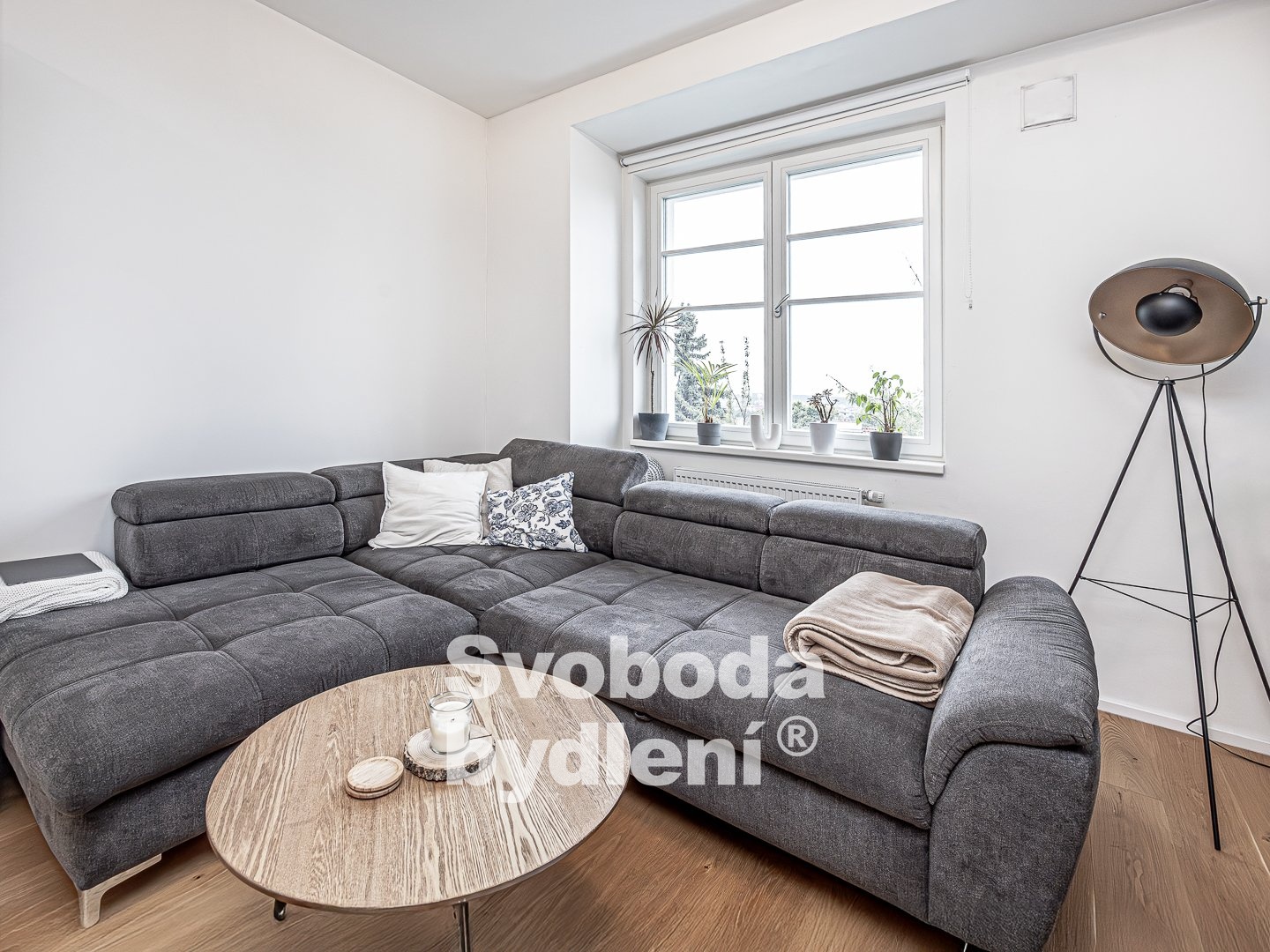 Fotku se nepodařilo načíst.