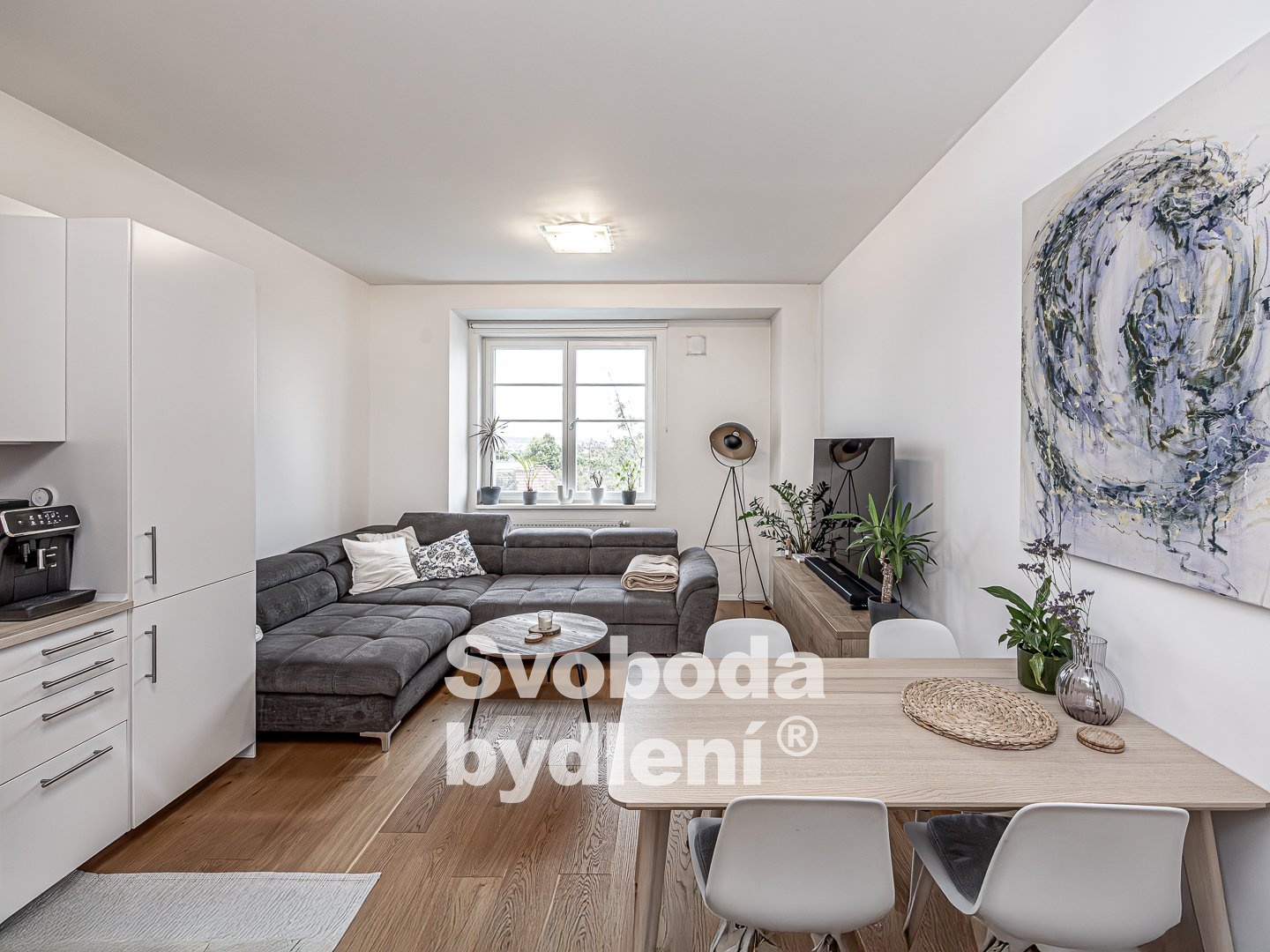 Fotku se nepodařilo načíst.